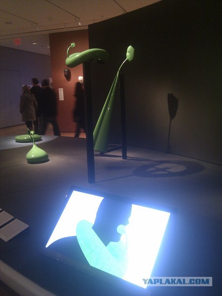 Моя первая поездка в Нью-Йорк и Маями