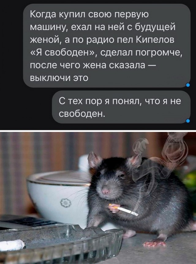 Немного картинок для настроения - 131