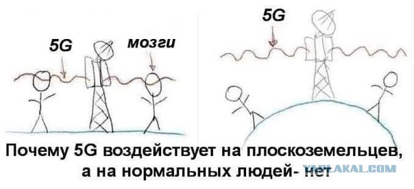 Как-то у блондинки спросили «Почему Земля плоская»