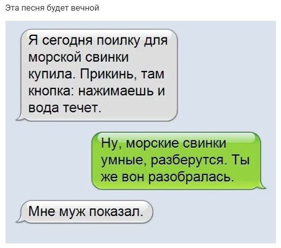 Немного мемчиков. Для взрослых. Часть 29