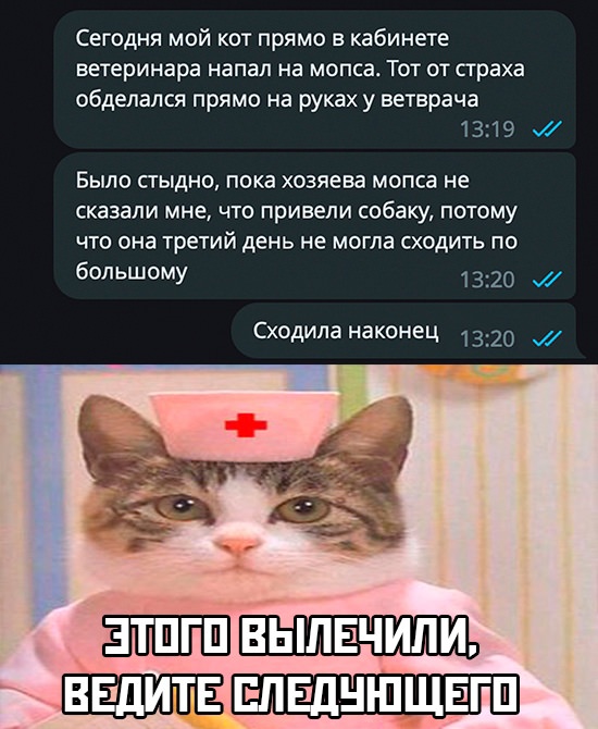 Забавные комментарии из социальных сетей (03.04.23)
