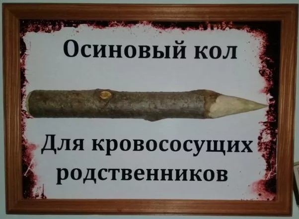 Россия – страна возможностей и талантливых самородков