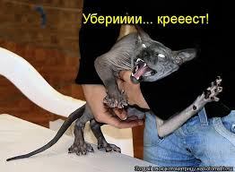 Откуда берутся женоненавистники