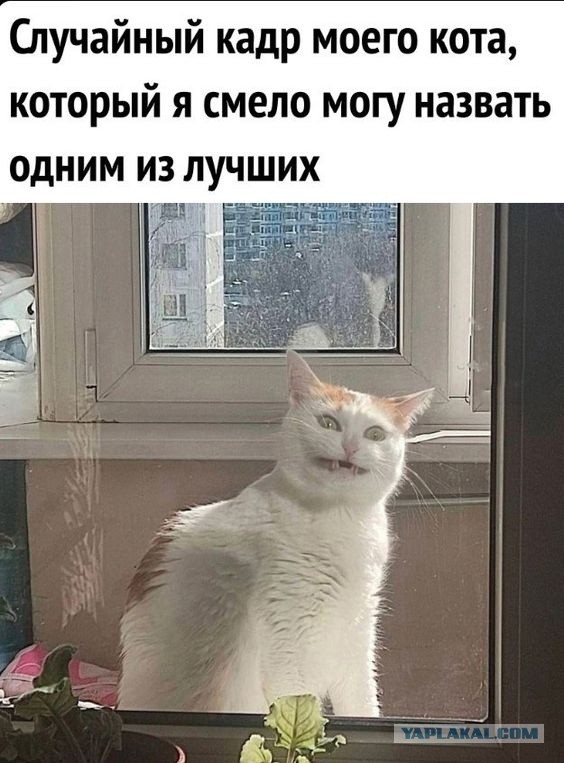 Мысли 55 летнего мужчины после свидания с некрасивой женщиной