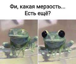 Земля - планета большая. Идиотов на 100 лет запасено