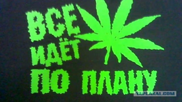 В Петербурге задержан 29-летний парень, который нёс пакет с килограммом марихуаны по улице
