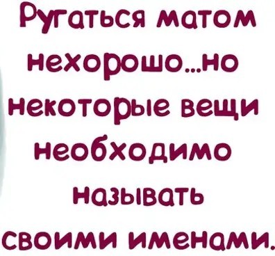 "Дома есть кто? Здоровее видал и не таких сшибал"