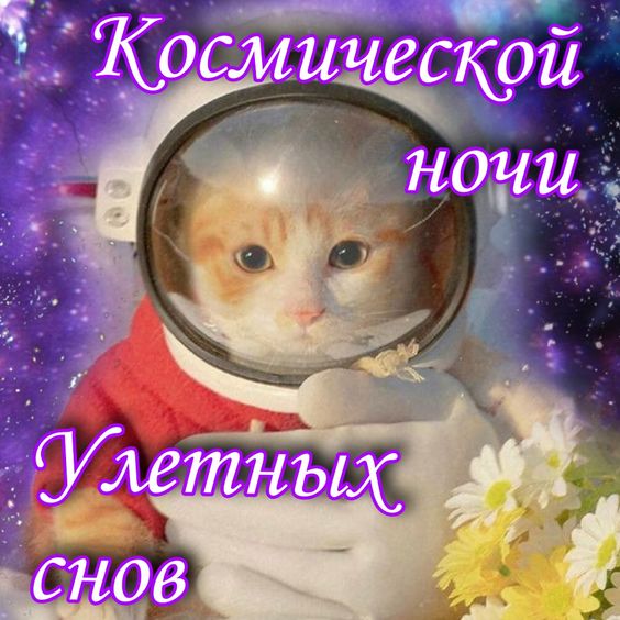 Прикольные и просто красивые картинки 10.01.2025