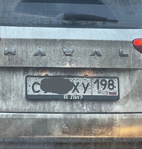 Очередь за забором