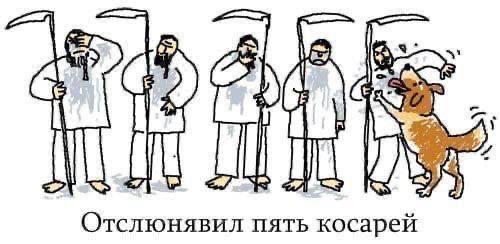 Так себе картинки 15.05.25