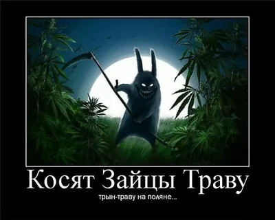 Воскресные картинки