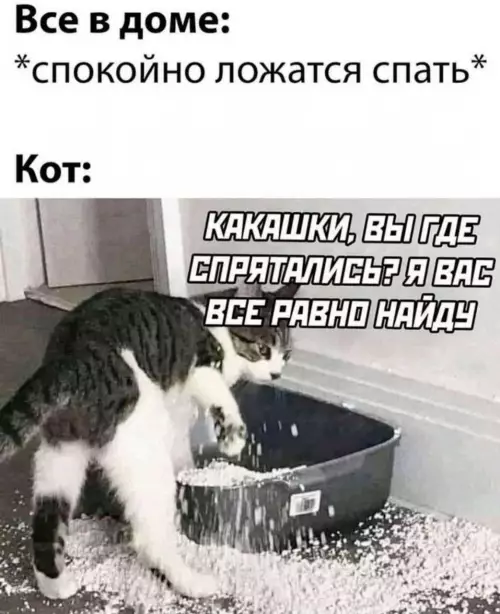 Картиночки, баянчики 09 марта