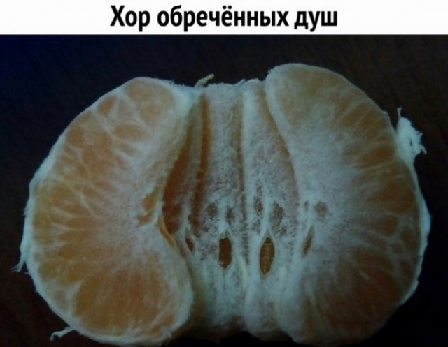 Картинки, надписи.