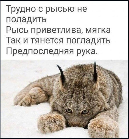 Веселые картинки в пятницу (17.04)