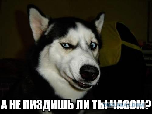 Новая схема обмана туристов в европейских онлайн-обменниках