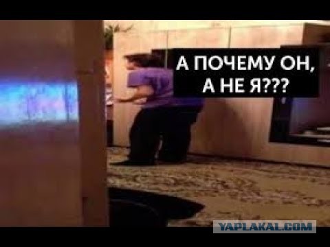 Фундамент интернета