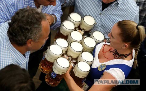 Ворота для бухания открываются.