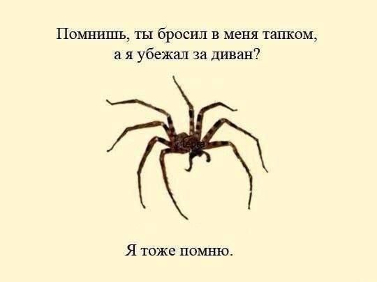 Картинки для деградации 298 (разной степени свежести)