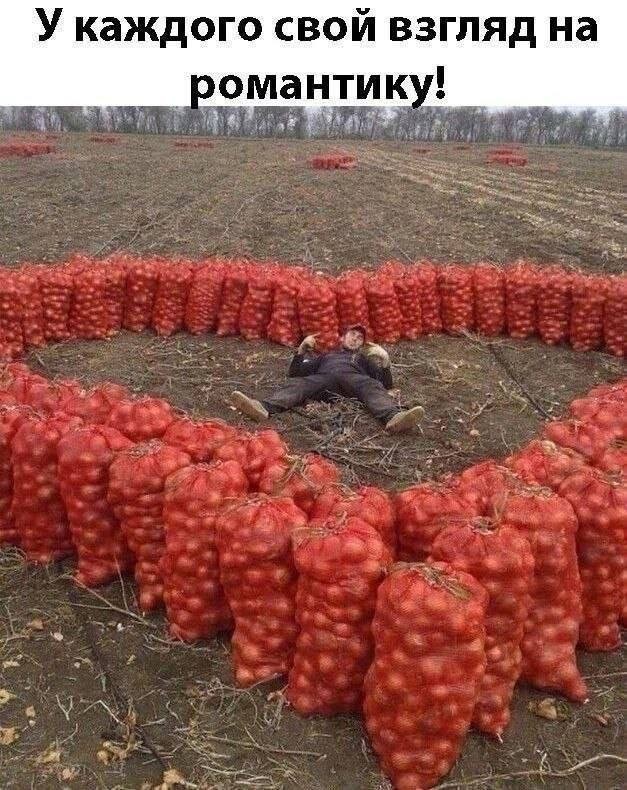 Веселые картинки в понедельник (26.10)