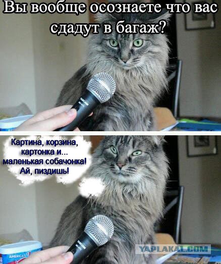 Вот это поворот!