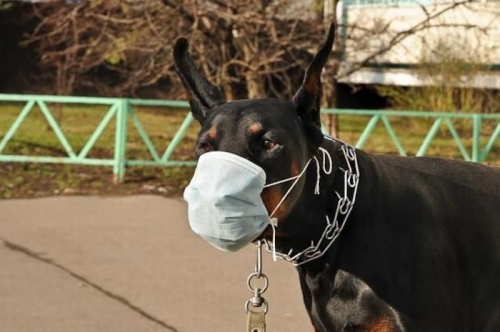 А у меня круче!