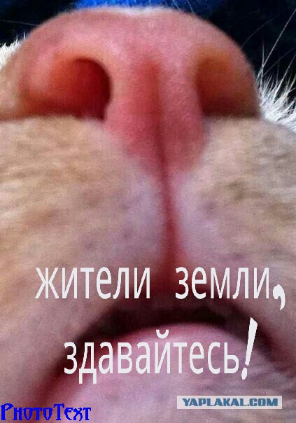 Нашёл у себя в телефоне фотку