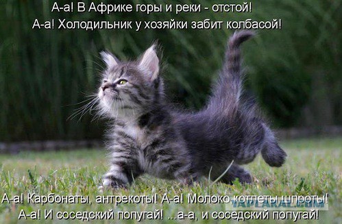 Добряки, плюсующие всех подряд