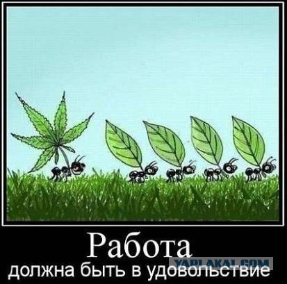 Чёрт, чёрт, чёрт!