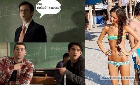 Подборка весёлых картинок