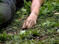 Женщина зарабатывает руками, ничего ими не делая