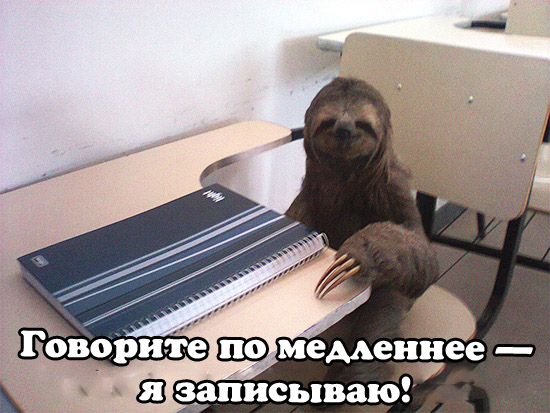 Весёлые картинки
