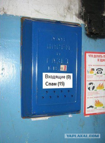 Веселые картинки