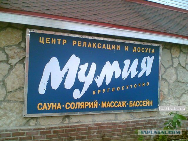 Прикольные картинки.