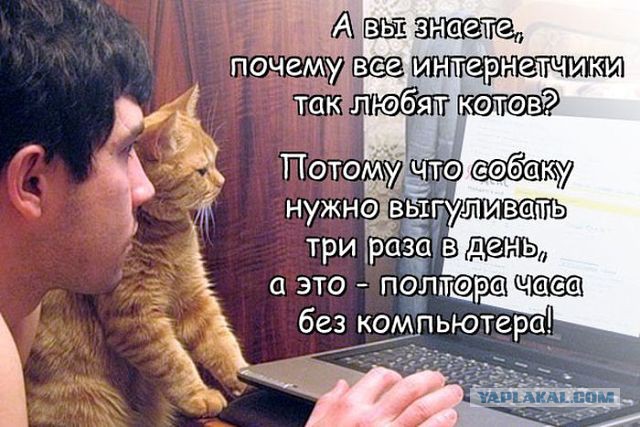 Весёлое из сети