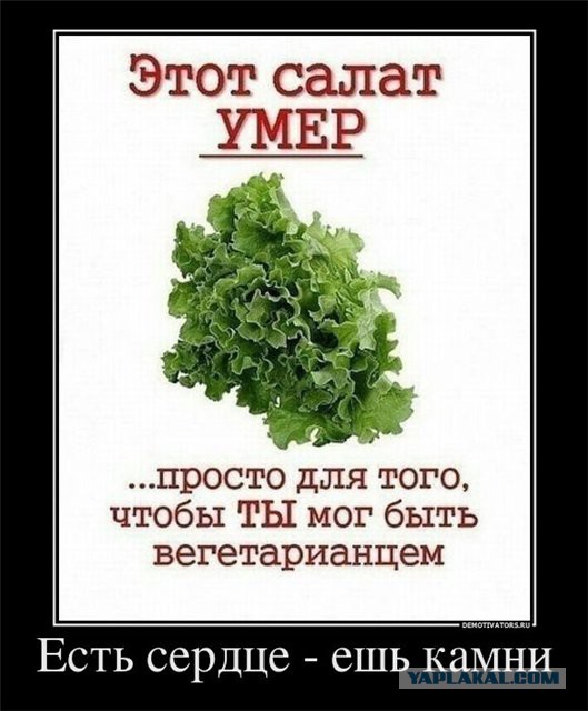 Веганы-радикалы в Петербурге