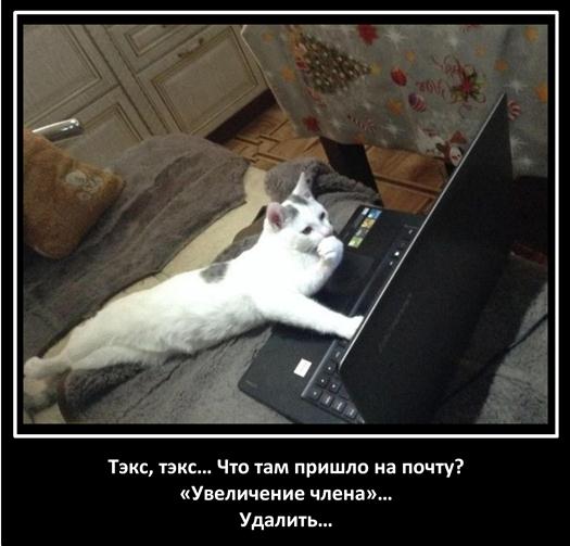 Свежая подборка из тырнетов