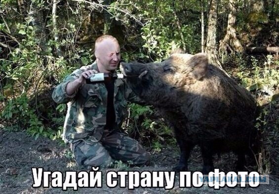 Картинки из сети