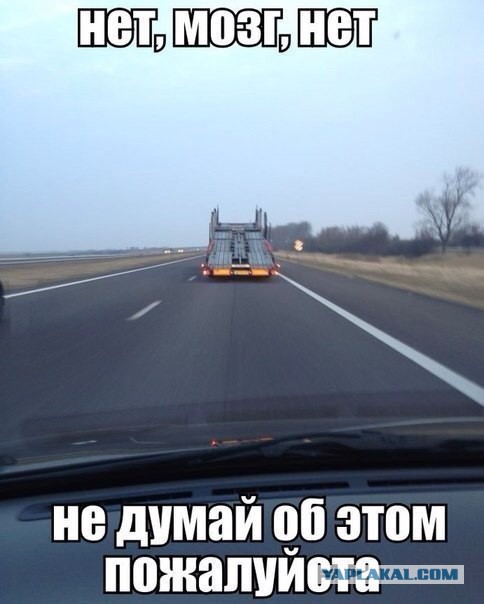 Прикольные картинки на понедельник