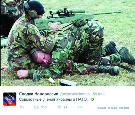Перемирие кончилось, едва начавшись. Часть 8