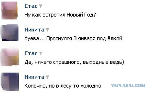 Смешные комментарии из социальных сетей
