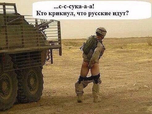 Весёлости в картинках