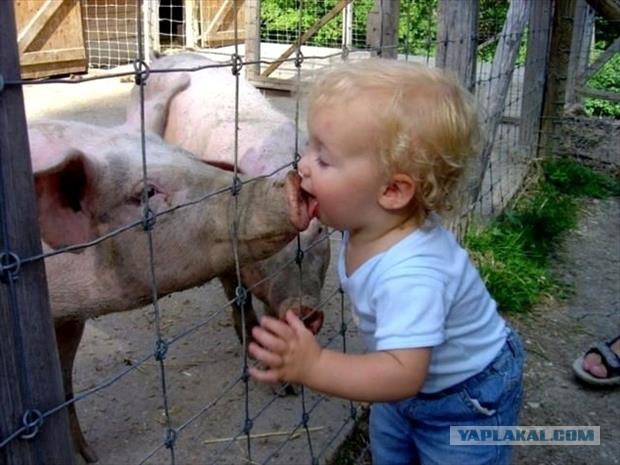 Онижедети!