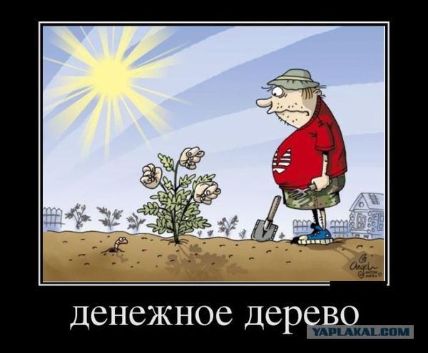 Прикольные картинки для вас!