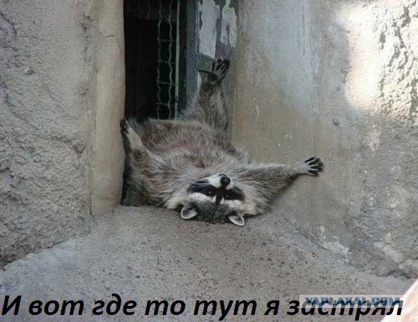 Когда костюм просто выше всяких похвал!