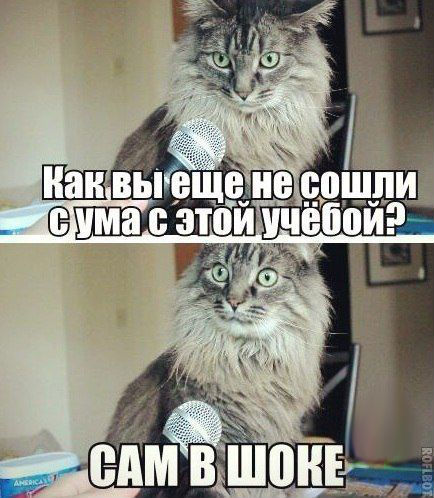 Картинки на субботу