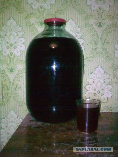 Вот и выходные-какие у кого планы?