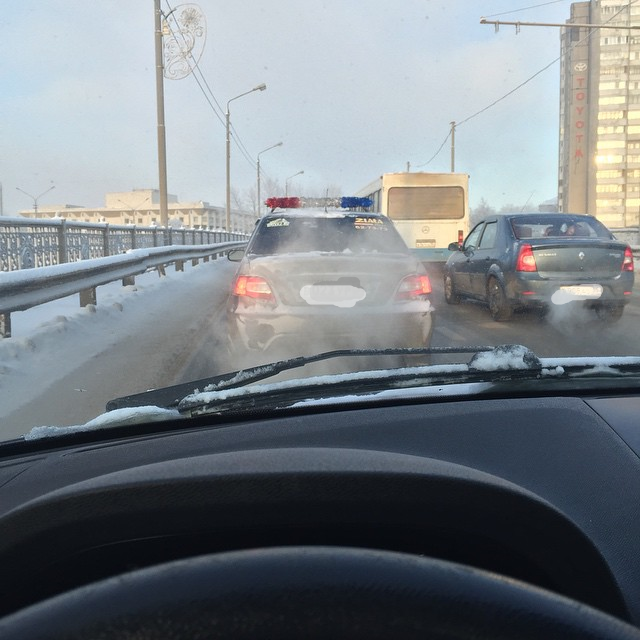 Шутник из Владимира