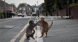 Сбор подписей за переименование Санкт-Петербурга