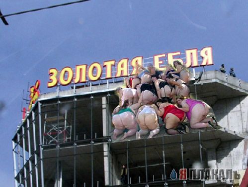Фотожаба: Золотая Мля