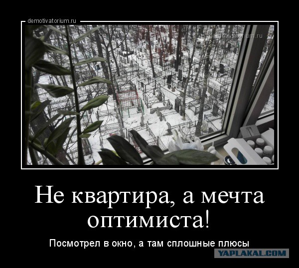 Ухоженный двор, спокойные соседи